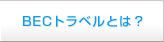 �r�W�l�X�G���[�g�J�[�h�Ƃ�