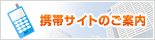 �g�уT�C�g�̂��ē�