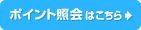�|�C���g�Ɖ�͂�����