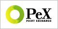 �|�C���g����PeX