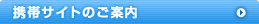 �g�уT�C�g�̂��ē�